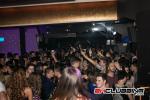 Koncert: Milan Stanković